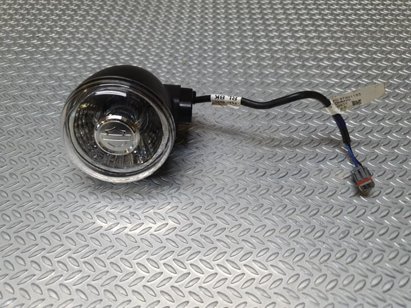 Harley Davidson Sportster 2022 Turn Signal / Indicator 67801153